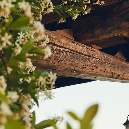 Il Casale Di Santamettole Casa di campagna *